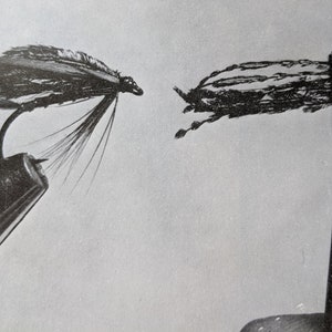 1970s Peacock Sword Fibres & Alexandra Fly Original Vintage Print - Matted - Fly Fishing - Angling