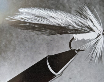 4 Plumes De Mouche Pour Pêche à La Mouche - Vintage - Truite, Saumon - USA