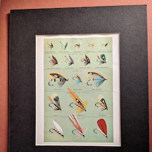 1970s Forelle, Lachs & Seefischerei Fliegen Original Vintage Druck - Passepartout - Fliegenfischen - Angeln