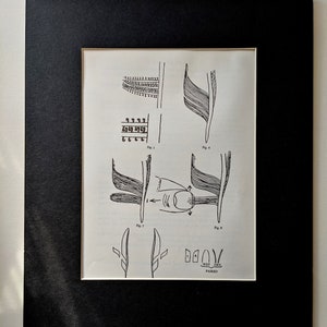 1970s Peacock Sword and Eye Tail Feathers II Original Vintage Print - Matted - Fly Fishing - Angling