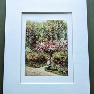 1909 Helen Allingham Apfel und Birnenblüte Original Antiker Druck - Illustration - Britischer Aquarellist - Montiert - Viktorianischer Wand Dekor
