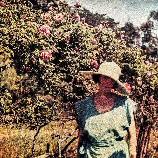 1980 J.H. Lartigue Autochromes Bibi in the Gardens of the Château de la Garoupe, Cap d' Antibes, 1920 Sheet Size Approx. 10.75 x 9.5 Inches