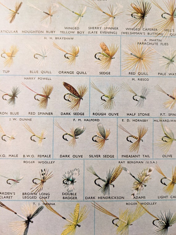 1970s Dry Flies I Original Vintage Print Matted Fly Fishing