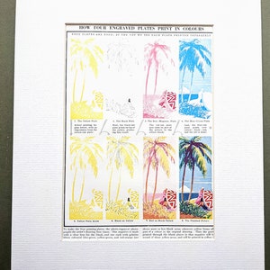 May include: A diagram showing how four engraved plates are used to print a colorful image of a tropical scene. The plates are labeled "Yellow Plate", "Black Plate", "Red Magenta Plate", and "Blue Green Plate". Each plate shows a different color layer of the image, and the final image is shown at the bottom.