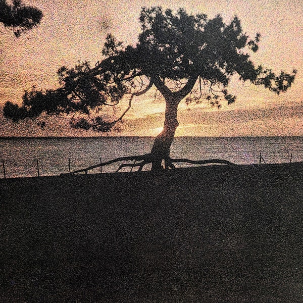 1980 J.H. Lartigue Autochromes Arcachon 1914 Sheet Size Approx. 10.75 x 9.5 Inches