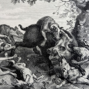1878 The Boar Hunt Taken from Snyders Original Antique Engraving - Print  - Matted & Mounted - Wall Décor
