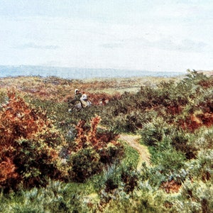 1909 Helen Allingham Blackdown von Witley Common Antiker Druck - Illustration - Britischer Aquarellist - Viktorianisches Wanddekor