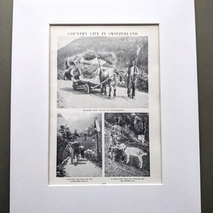 Stampa originale d&#39;epoca &quot;Vita di campagna in Svizzera&quot; del 1956 - Engadina - Valle del Loetschen - Una collina alpina montata - Decorazione murale