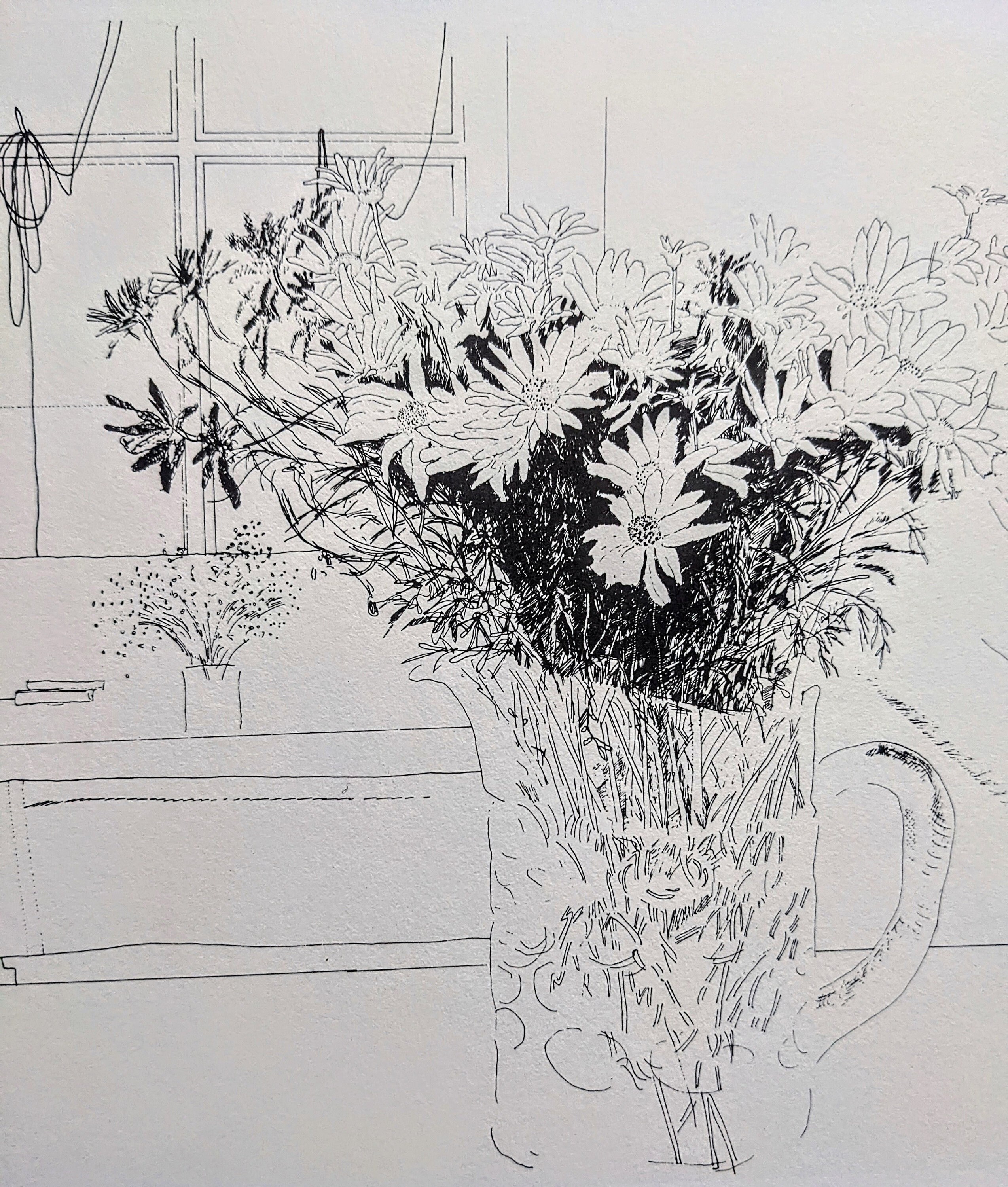 David Hockney Still Life Drawings