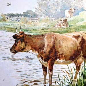1896 Mrs Moo Original Antique Print - Children&#39;s Illustration - Down on the farm - Helena Maguire - William Foster - Décor
