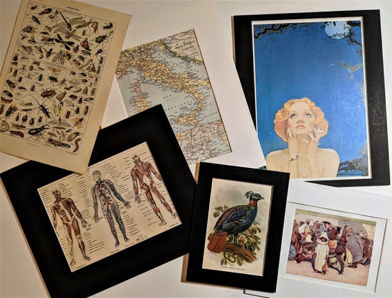 1975 フランシス・ベーコン ヘッド VI 1949 キャンバスに油彩