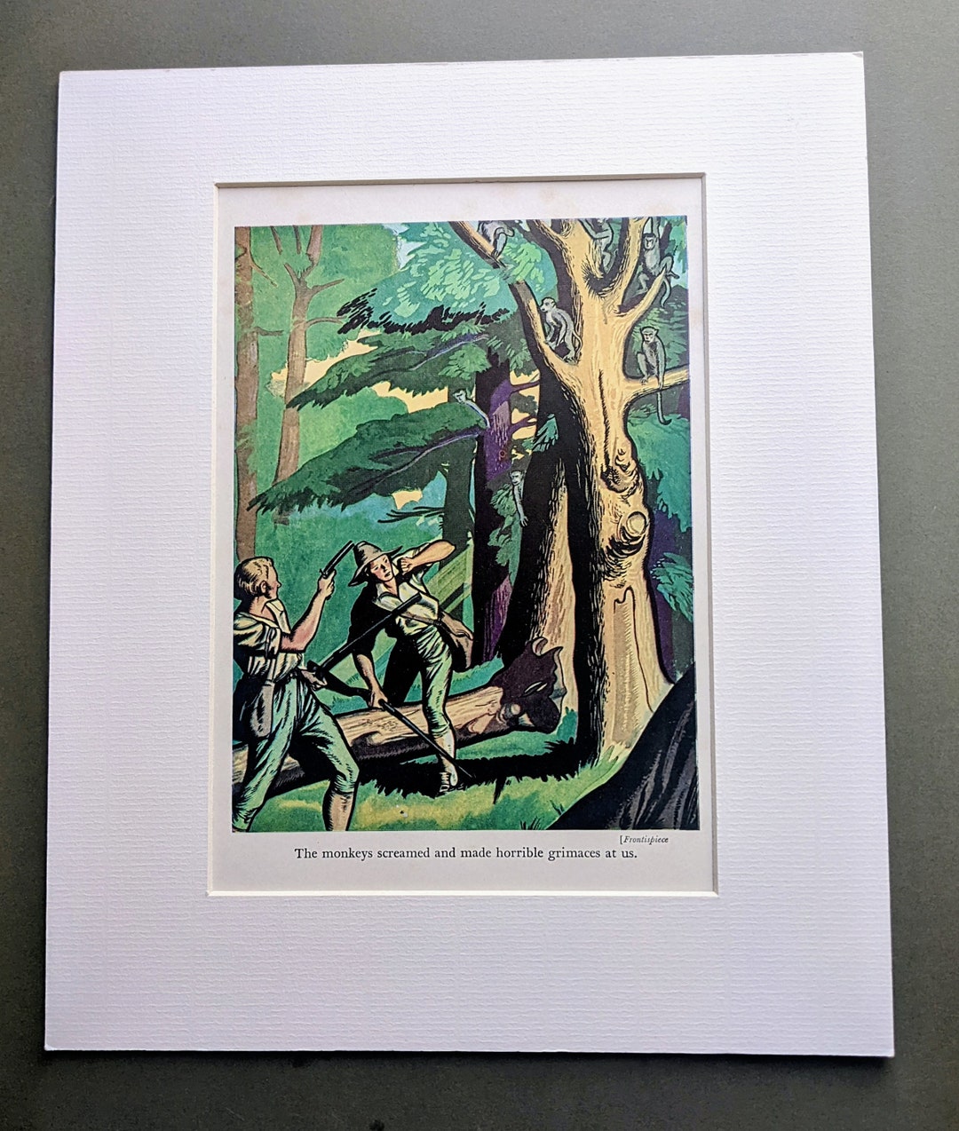 1940 Swiss Family Robinson Original Vintage Print -children's ...