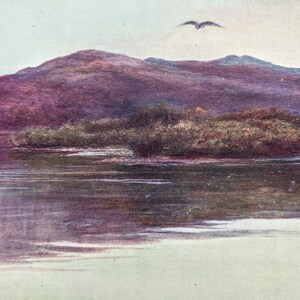 1912 The Island of Innisfallen Killarney Original Vintage Print - Ireland - Landscape - Country Decor - Wilderness