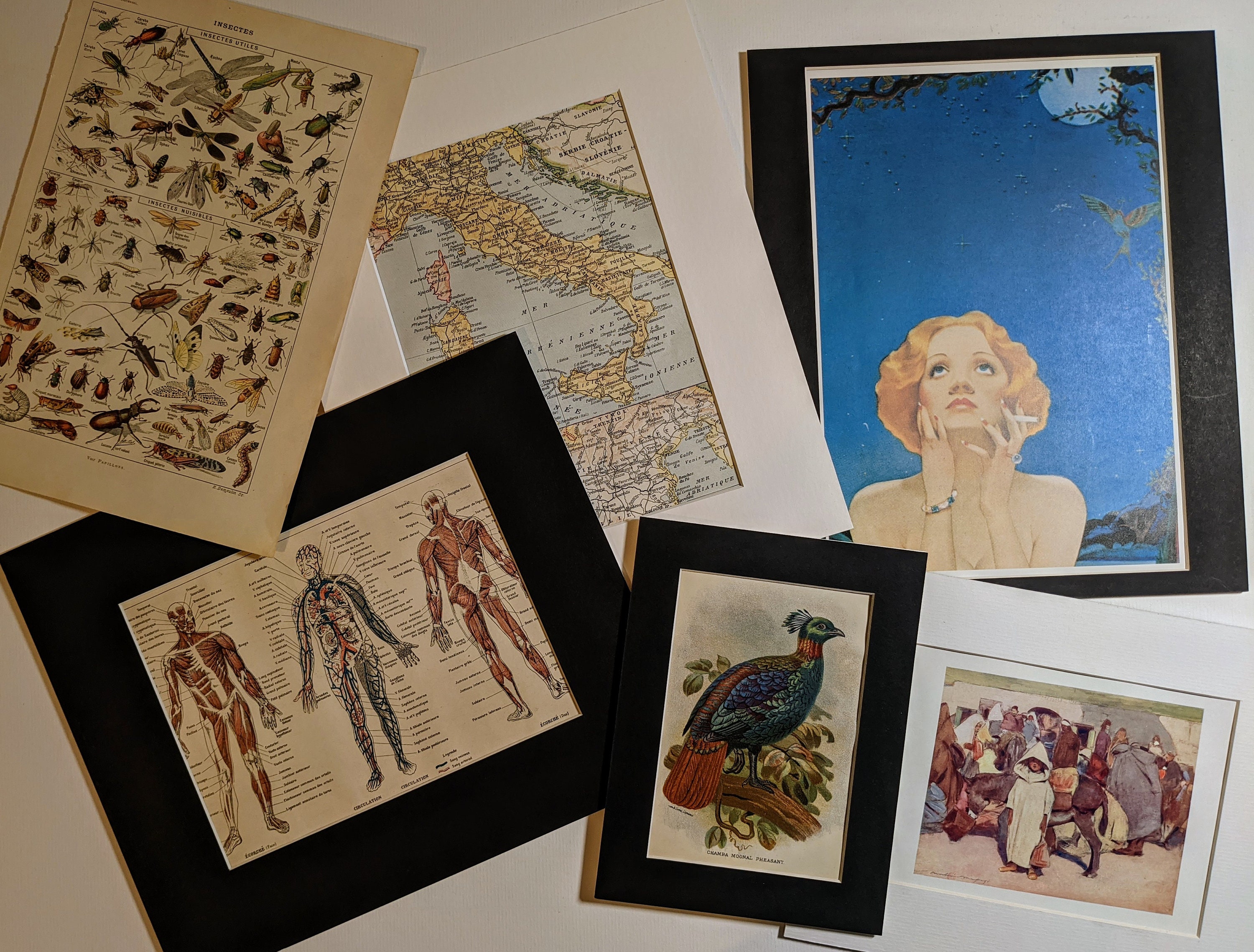 Dabbler Pesca Alla Trota Mosche, 6 Pezzi Claret Dabblers - Foto 2