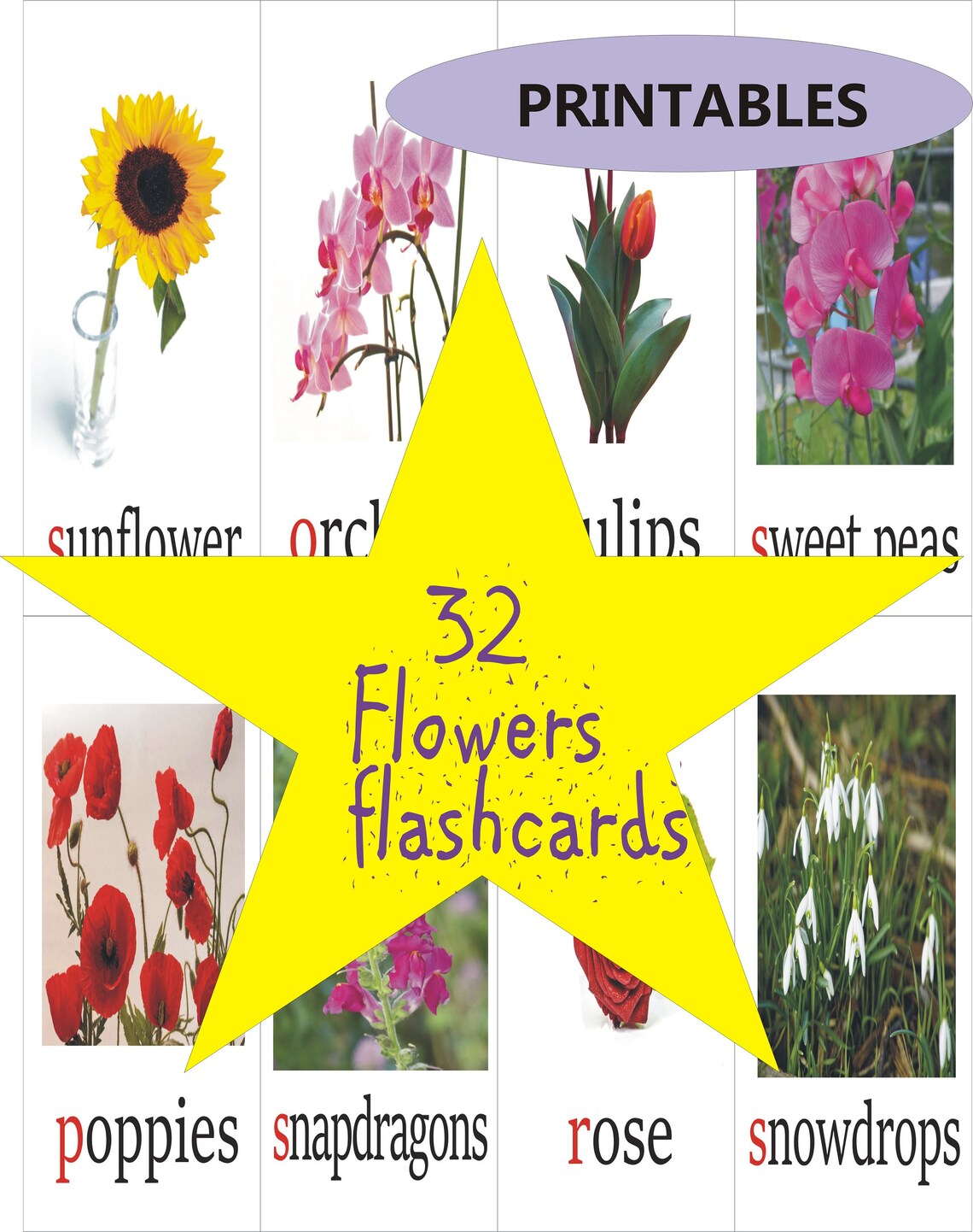32 Popular Flowers Flashcards Garden printables | Etsy