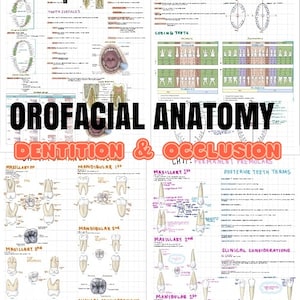 Higiene Dental Anatomía Orofacial Denticiones y Notas de Oclusión