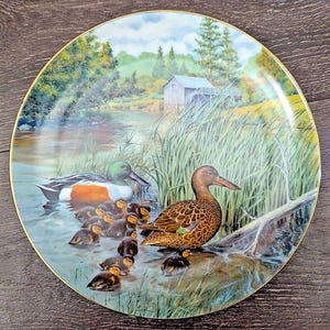 May include: A decorative plate featuring a serene waterscape with ducks and ducklings. The plate has a gold rim and depicts a male duck with a green head and orange chest, a female duck, and several ducklings. The background shows a small building and trees.