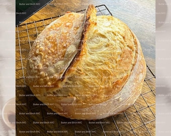 Butter & Birch Sourdough Starter