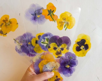 Pansy flower pressed flower bookmark, violet flowers, handmade bookmark, dried flower, laminated bookmark gift for her