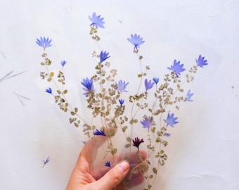 May include: A set of four clear bookmarks featuring pressed blue and purple flowers and green leaves. The bookmarks are held in a hand wearing a blue wristband.
