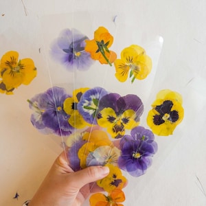 Segnalibro fiore pressato viola del pensiero, fiori viola, segnalibro fatto a mano, fiori secchi, segnalibro laminato regalo per lei