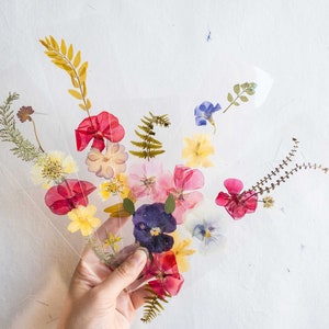 Segnalibro fiore pressato trasparente, fiori misti, segnalibro fatto a mano, regalo, fiore secco, fiore secco, segnalibro laminato