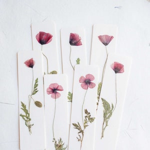Segnalibro papavero comune Segnalibro fiore pressato papavero di mais, fiore secco, regalo, fiore, fiore secco, segnalibro papaveri