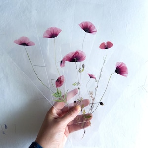 Poppy Pressed Flower bookmark TRANSPARENT, dried flower, gift, flower, dried flower, bookmark