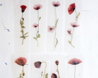 Poppy flower bookmark Pressed Flower bookmark TRANSPARENT , dried flower , gift, , fleur séchée, marque page poppy , marquepage coquelicot