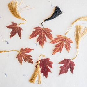 Gepresstes Blumen-Lesezeichen Ahornblatt mit Quaste, transparentes Lesezeichen, handgemachtes Lesezeichen, Geschenk, getrocknete Blume, Fleur Secée, Markenseite