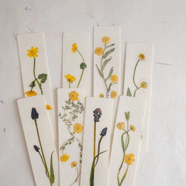Pressed flower bookmark, miniature Hyacinth, Buttercup, daisy bookmark handmade bookmark, gift, dried flower, fleur séchée , marque page