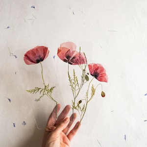 Segnalibro fiore pressato TRASPARENTE, fiore essiccato, regalo, fleur, fleur séchée, pagina del marchio