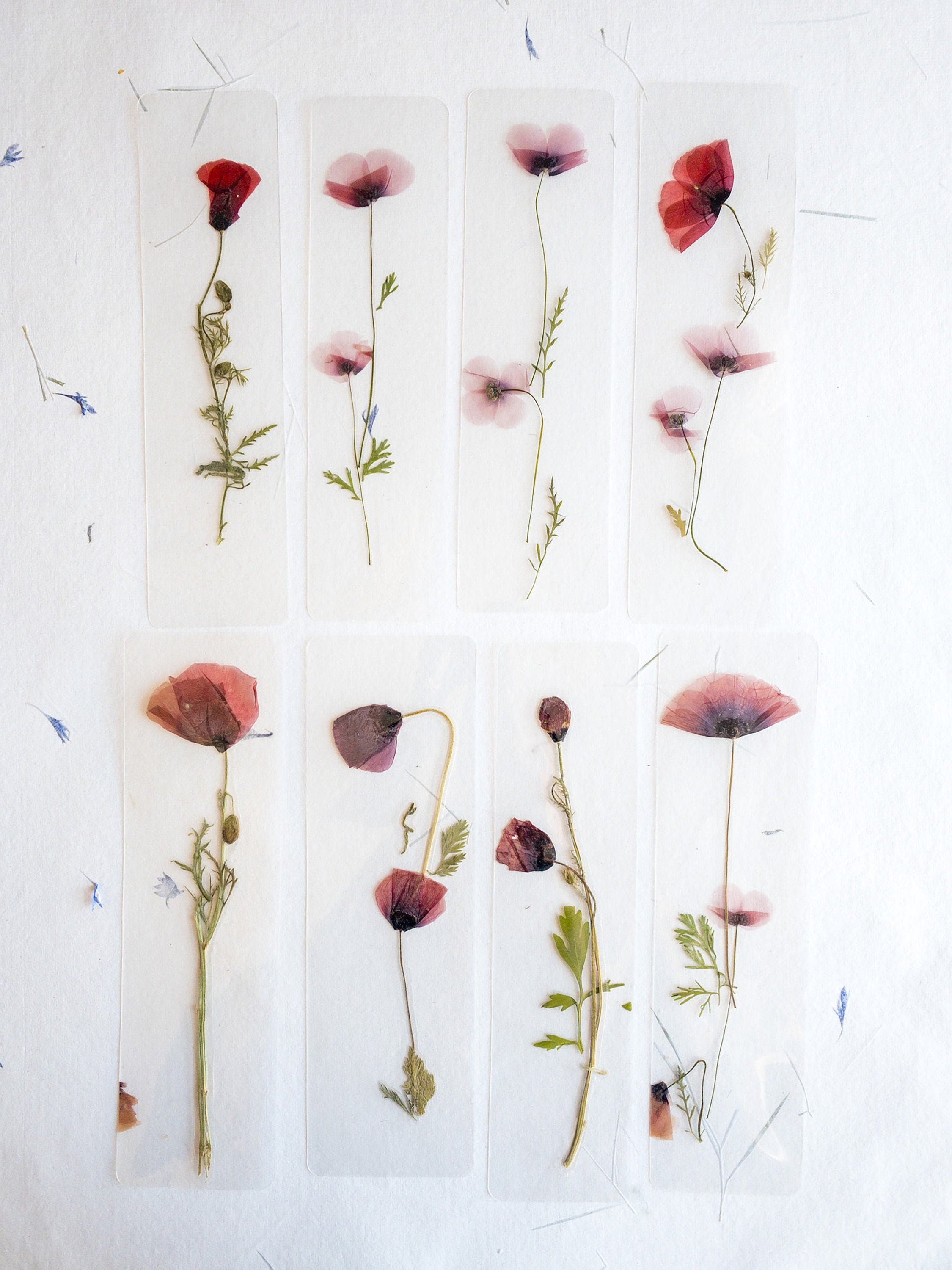  120 Pieces Transparent Dried Flower Bookmarks, Pressed