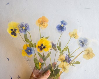 Pansy flower bookmark,Pressed flower bookmark Transparent, violet bookmark handmade bookmark, gift, dried flower, fleur séchée , marque page