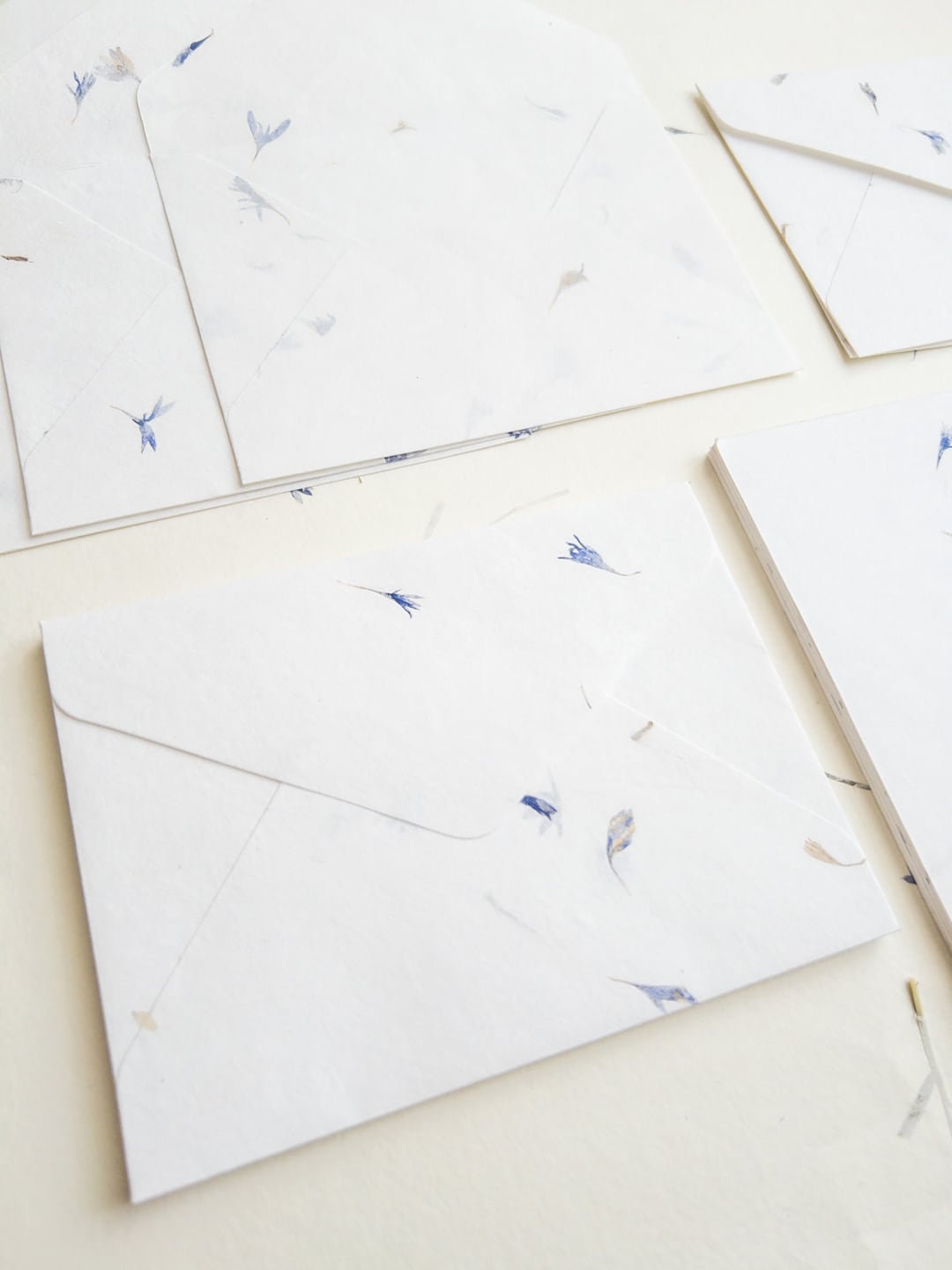 SET OF FIVE Handmade Paper With Envelop, Corn Flower, Real Pressed ...