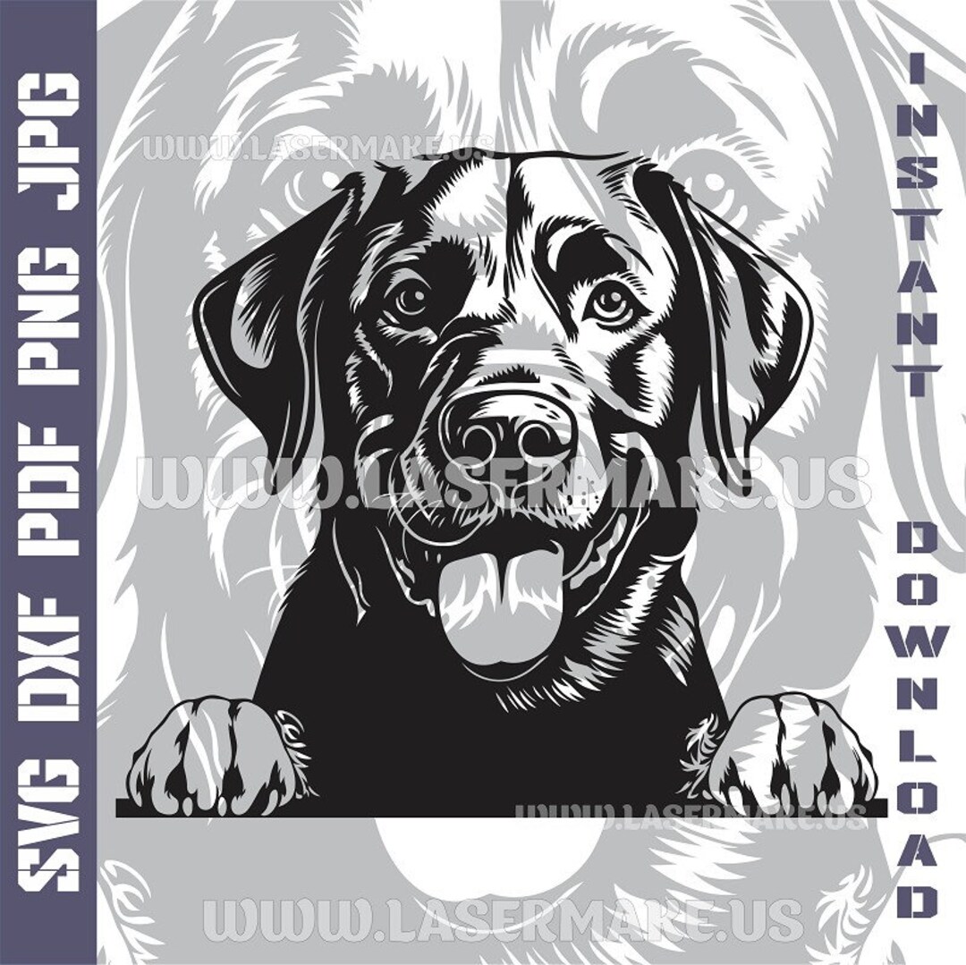Labrador Retriever Dog SVG File Cut File for Cricut - Etsy