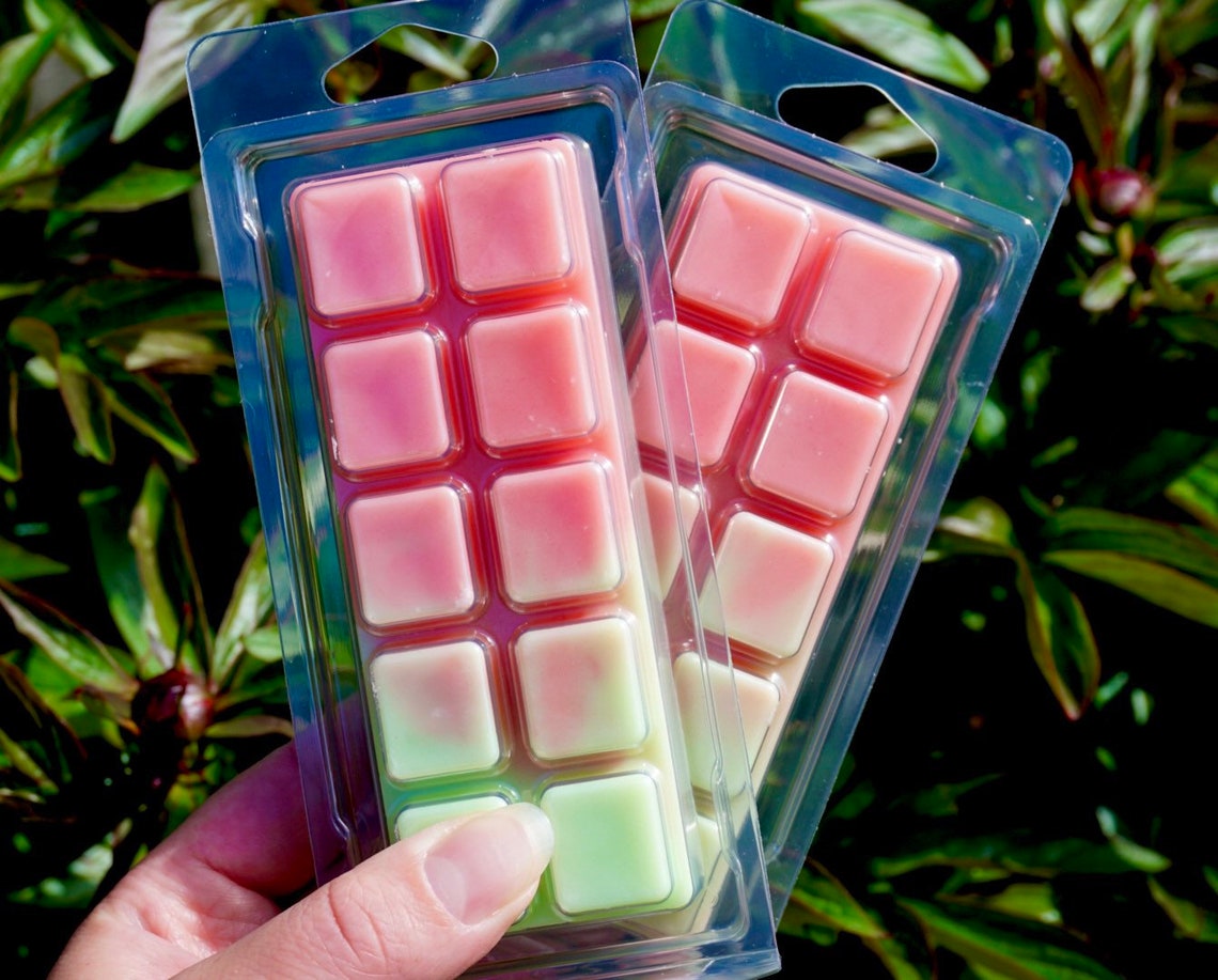 Watermelon Wax Melts / Wax Melt Snap Bars / Wax Melts / Summer Etsy