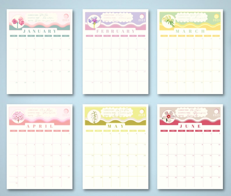 Floral Calendar January 2023 2023 Calendar Template 2023 - Etsy Australia