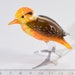 see more listings in the Bird section