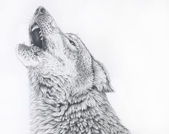 Dessin Realiste De Bison Etsy