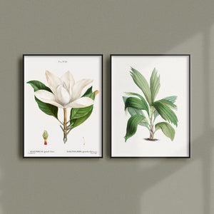 Set von 2 Vintage Botanische Poster, Retro Botanische Werbung, Pflanzen Antike Drucke, Kräuter Pflanzen Blume Vintage Poster | SE16