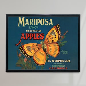Póster vintage de manzanas Mariposa, impresión retro de comida estadounidense, impresión antigua de comida estadounidense, póster vintage de comida y bebida / FD151