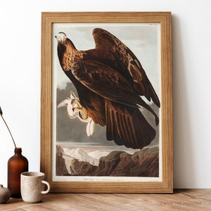 Golden Eagle Vintage Poster, Large Eagle Retro Print, Large Eagle Antique Print, Vintage Birds Poster | BB69