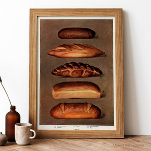 May include: A vintage illustration of five different types of bread, including a  Pumpernickel, Vienna, Twist, New England, and Rye loaf. The illustration is labeled "BREAD" at the bottom.