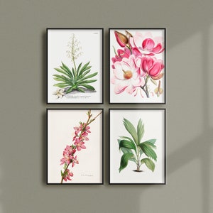 Set von 4 Vintage Botanische Poster, Retro Botanische Werbung, Pflanzen Antike Drucke, Kräuter Pflanzen Blume Vintage Poster | SE14