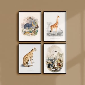 Set of 4 Vintage Animal Posters, Retro Animal Ads, Wildlife Antique Prints, Animal Kingdom Vintage Posters, Monkey Giraffe Elephant  | SE18
