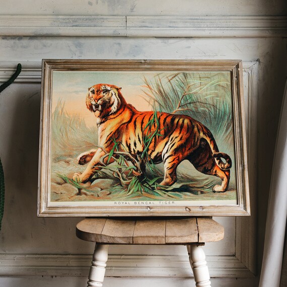 Royal Bengal Tiger | Oil Painting on Canvas by Arun Kumar | Exotic India Art