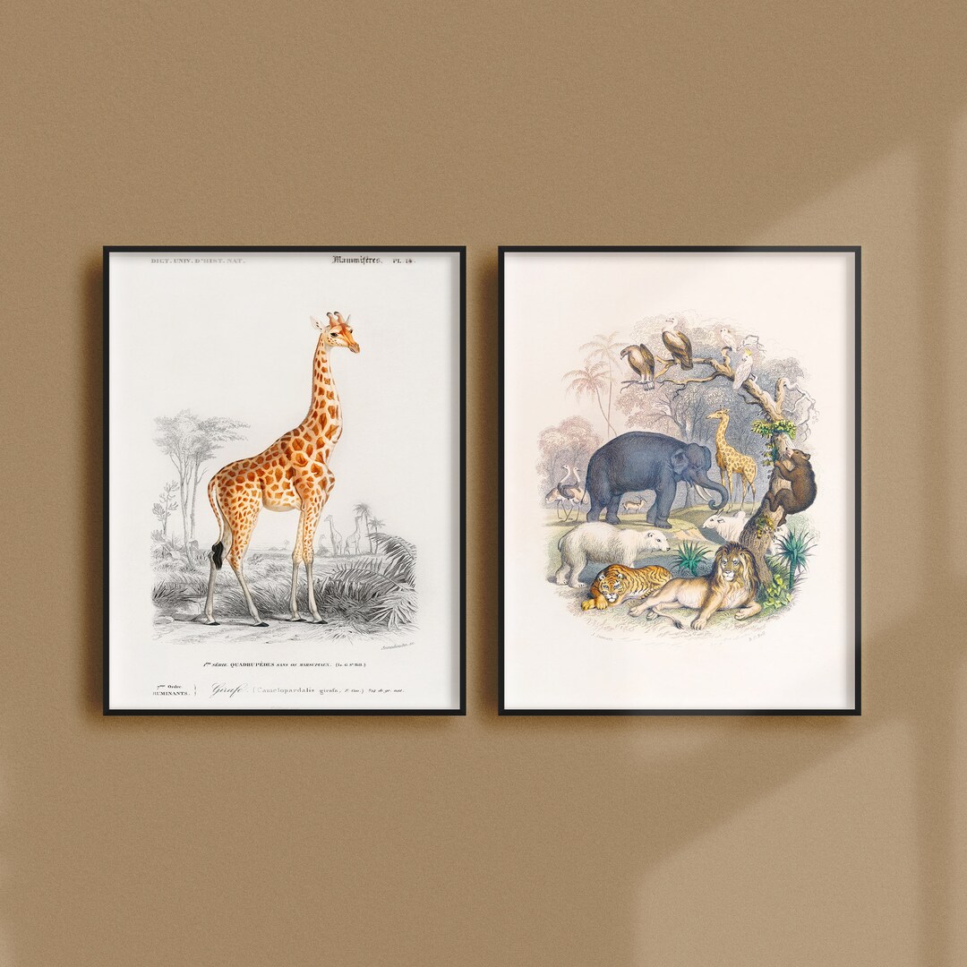 Set of 2 Vintage Animal Posters, Retro Animal Ads, Wildlife Antique