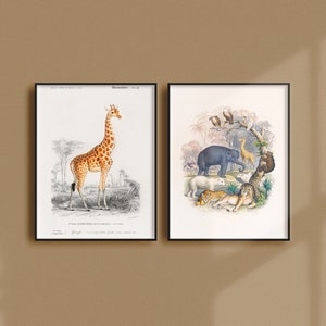 Set of 2 Vintage Animal Posters, Retro Animal Ads, Wildlife Antique Prints, Animal Kingdom Vintage Posters, Monkey Giraffe Elephant  | SE20