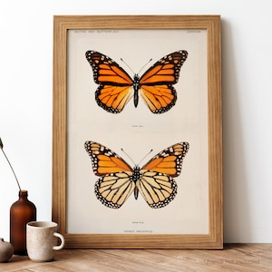 Póster vintage de mariposa monarca, impresión retro de dos mariposas doradas, impresión antigua, póster vintage de mariposas / BB158
